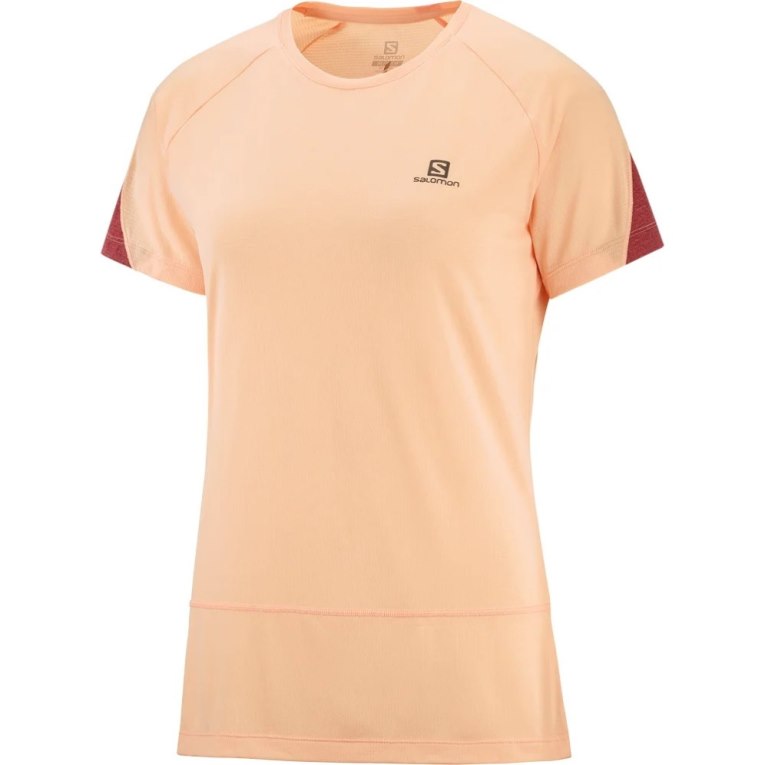 Apricot Salomon Cross Run Short Sleeve Women's T-Shirts | PH 26907K